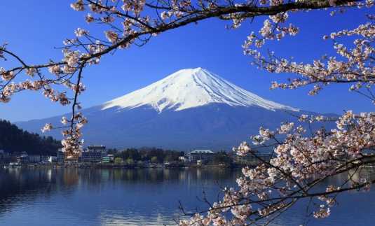 Du lịch Nhật Bản, xứ sở hoa anh đào, vẫn luôn là nơi thu hút rất nhiều khách du lịch trên thế giới