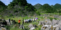 Cao nguyên đá Đồng Văn là Công viên Địa chất toàn cầu duy nhất tại Việt Nam và thứ hai của Đông Nam Á