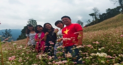 Du lịch Hà Giang vào những ngày tháng 10, du khách sẽ được chìm đắm dưới sắc phớt hồng của hoa tam giác mạch trải khắp