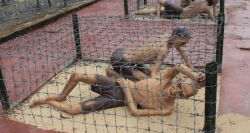 Hình thức tra tấn tù binh tại Nhà tù Côn Đảo