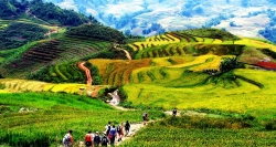 Theo trang Mother Nature, ruộng bậc thang Sa Pa ở Lào Cai được xếp trong danh sách 30 nơi đẹp nhất hành tinh