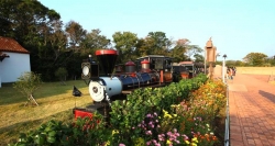 Trải nghiệm chuyến tàu hơi nước mô phỏng những năm 1800s trong công viên Ecoland