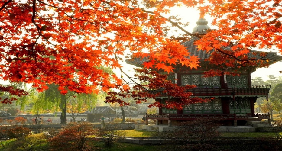Những điểm đến thiên đường của du lịch Hàn Quốc