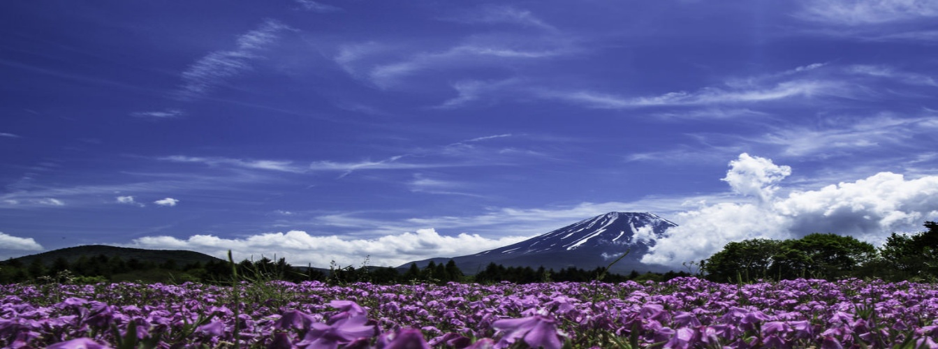 Một đất nước Nhật Bản mang trong mình vẻ đẹp tinh khiết luôn có sức quyến rũ bất kỳ du khách