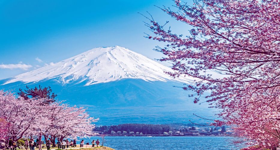 Núi Phú Sĩ hay còn gọi là núi Fuji là ngọn núi linh thiêng của xứ sở hoa anh đào, thu hút nhiều khách du lịch Nhật Bản tham quan mỗi năm