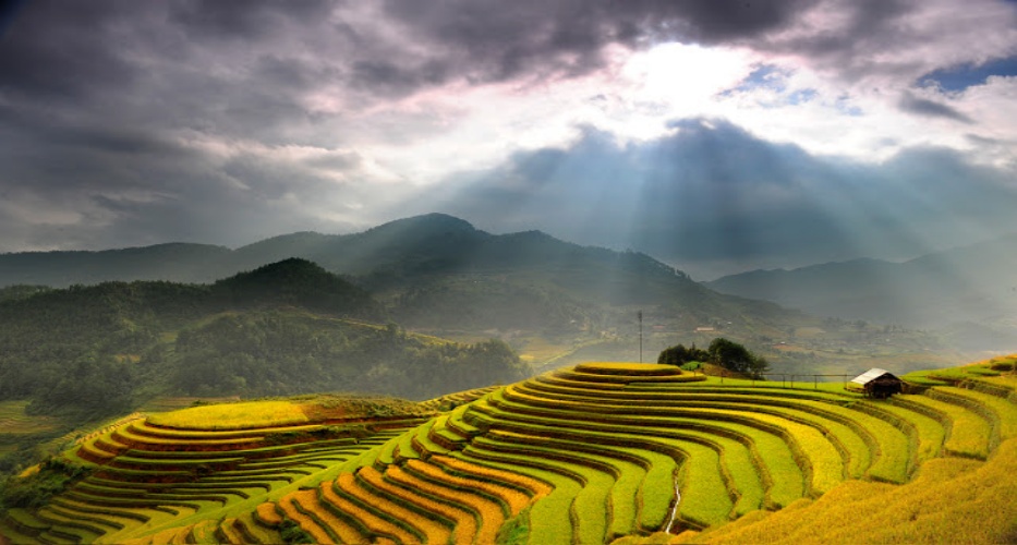 Lai Châu quyến rũ với những cánh đồng lúa trên ruộng bậc thang vàng óng, cánh rừng nguyên sinh và khung cảnh thiên nhiên hoang sơ