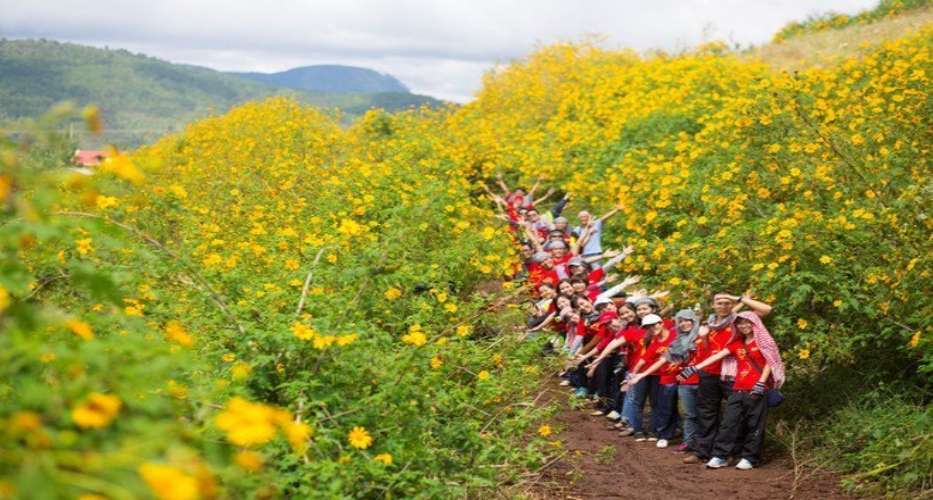 Đến Lai Châu vào thời điểm này du khách sẽ ngất ngây trong chốn thiên đường với sắc vàng rực rỡ của hoa dã quỳ