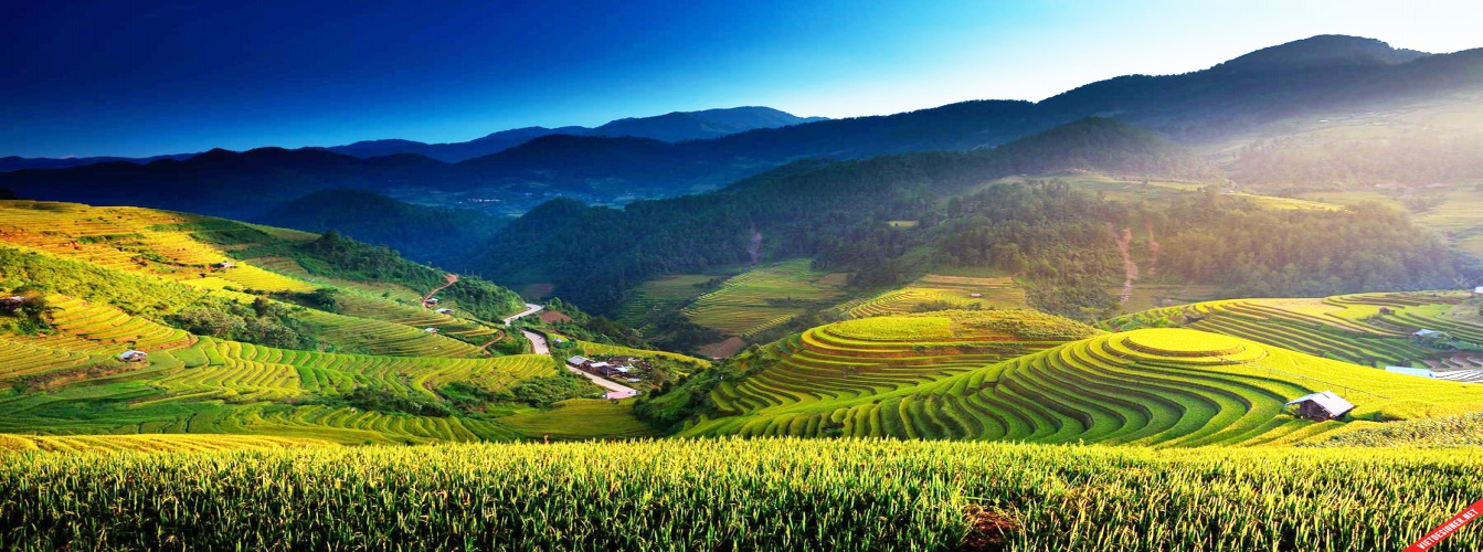 Mù Cang Chải nằm cách Hà Nội khoảng 300 km, là điểm đến thu hút nhiều nhiếp ảnh gia và khách du lịch