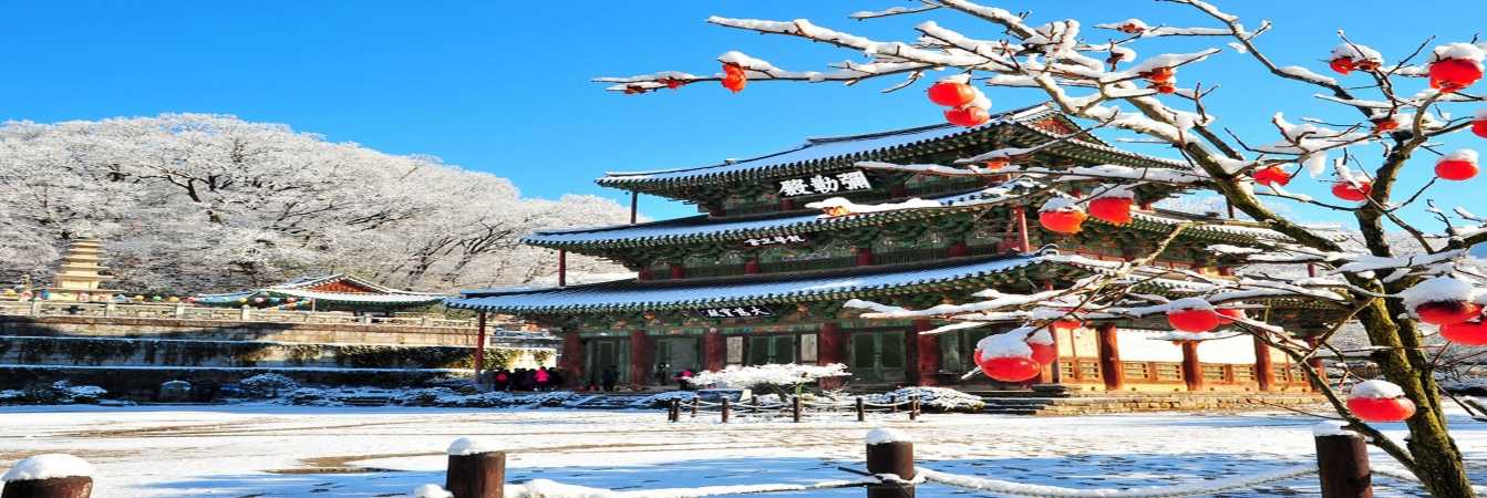 Mùa đông Hàn Quốc - Amira Travel mở bán tour du lịch Hàn Quốc 2017 với giá tốt nhất và dịch vụ tuyệt vời.